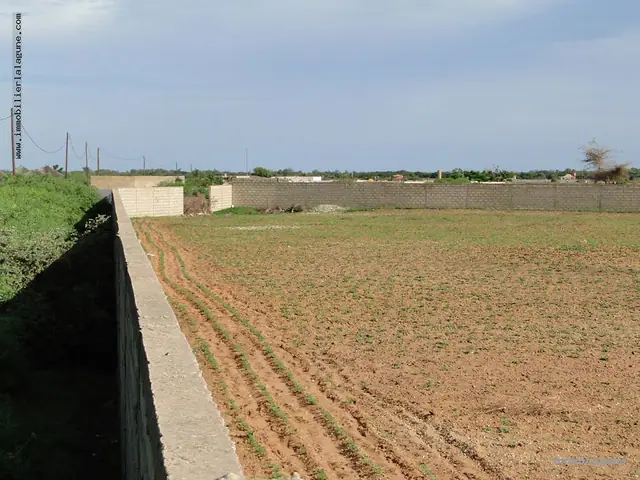 Terrain à Nguerigne — référence T2120