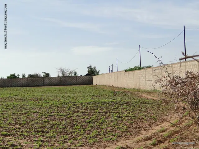 Terrain à Nguerigne — référence T2119