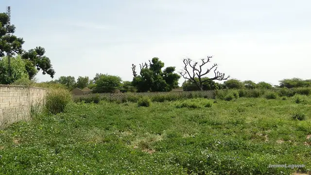 Terrain à Nguerigne — référence T2139