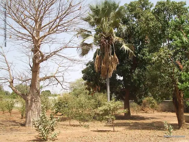 Terrain à Nguekhokh — référence T2222