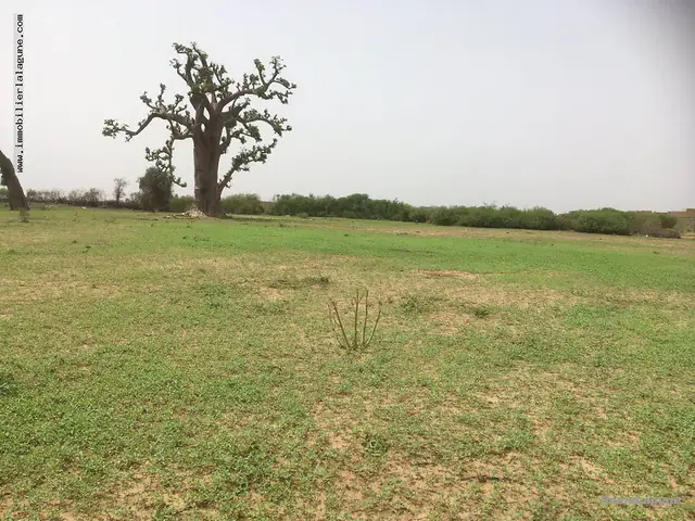 Terrain à Nguerigne — référence T2246