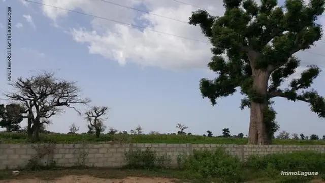 Terrain à Nguekhokh — référence T2332
