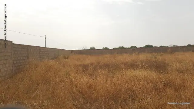 Terrain à Nguerigne — référence T2460