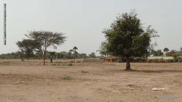 Terrain à Saly — référence T2553