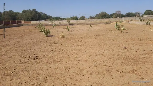Terrain à Nguerigne — référence T2565
