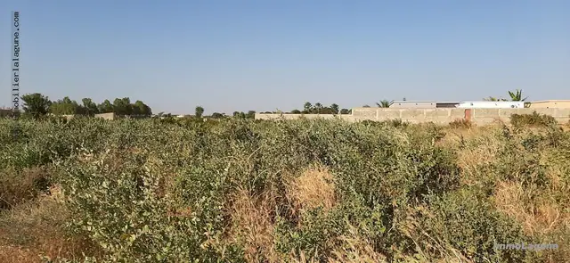 Terrain à N'diorokh — référence T2578