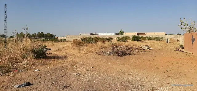 Terrain à N'diorokh — référence T2579
