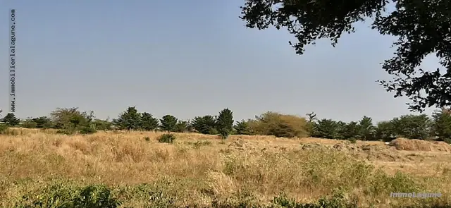 Terrain à Saly — référence T2574