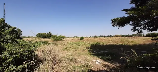 Terrain à Saly — référence T2575