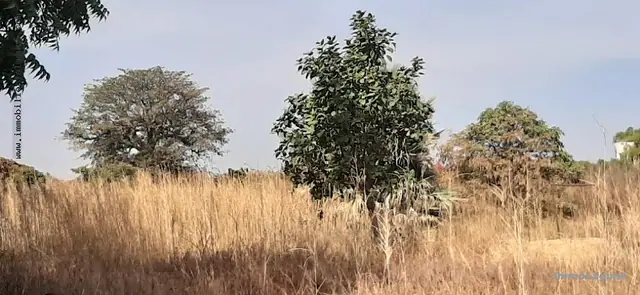 Terrain à Ngaparou — référence T2583