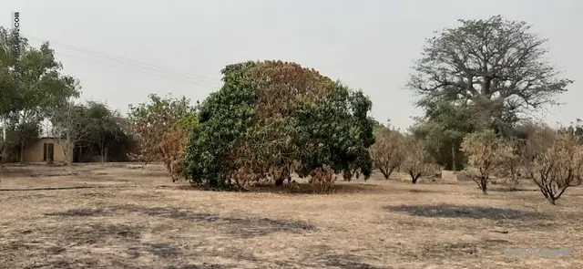 Terrain à Ngaparou — référence T2598