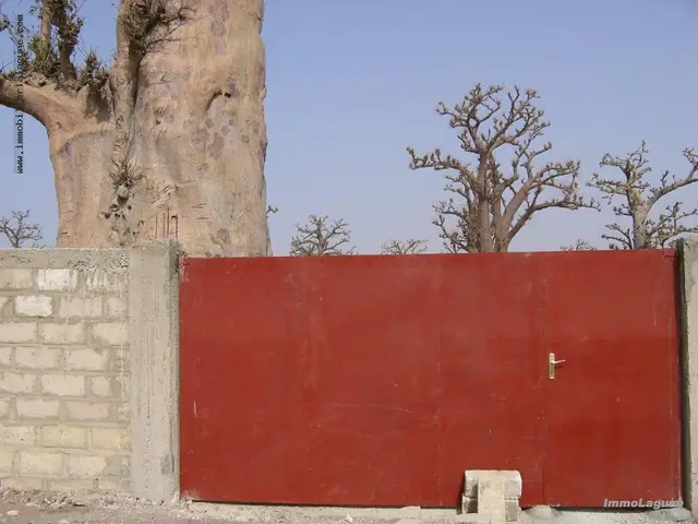 Terrain à Nguekhokh — référence T2710