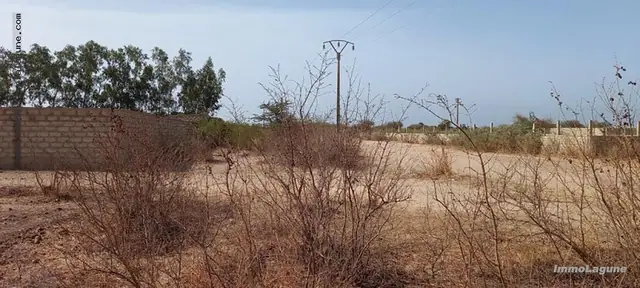 Terrain à N'diorokh — référence T2782