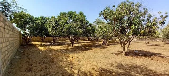 Terrain à Ngaparou — référence T2725