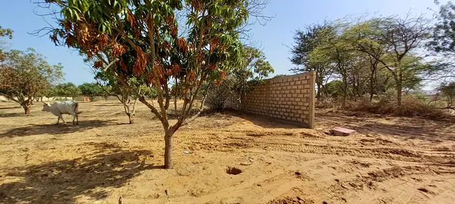 Terrain à Ngaparou — référence T2726
