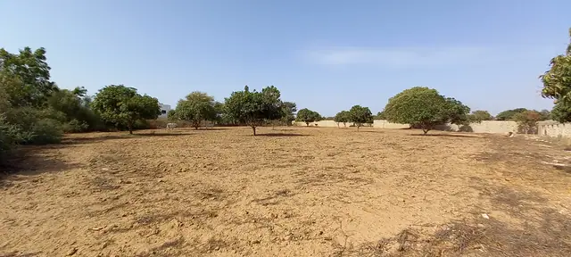 Terrain à Ngaparou — référence T2793