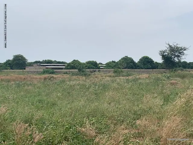 Terrain à Sinthiane — référence T2854