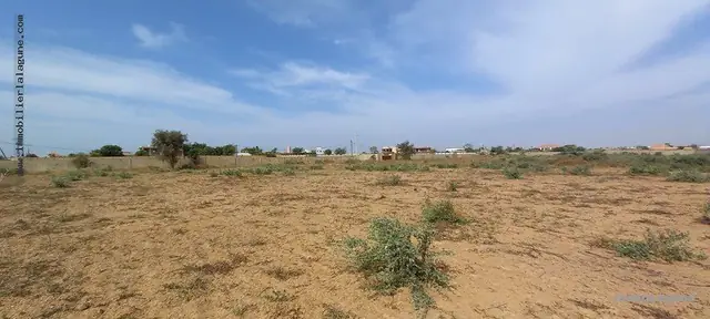 Terrain à Nguerigne — référence T2859