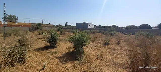 Terrain à Nguerigne — référence T2863