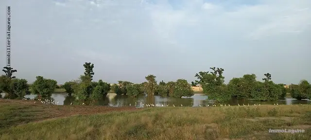Terrain à Gandigal — référence T2511