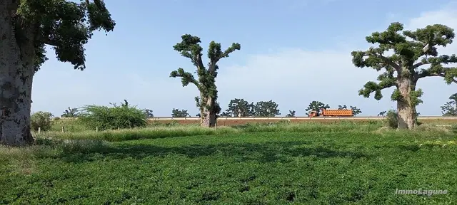 Terrain à Nguekhokh — référence T2911