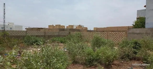 Terrain à Saly — référence T2926