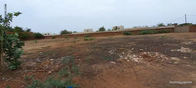 Terrain à Nguerigne — référence T2934