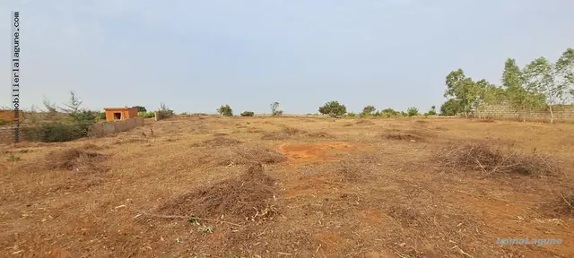 Terrain à Guéréo — référence T3000