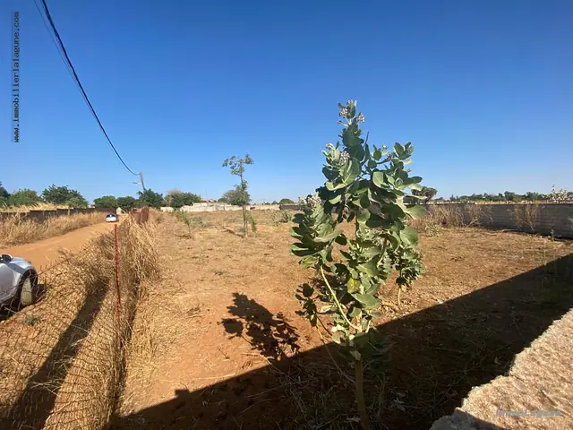 Terrain à Nguerigne — référence T3062