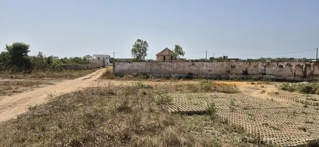 Terrain à N'diorokh — référence T3227