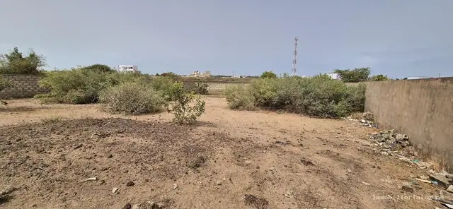 Terrain à N'diorokh — référence T3290