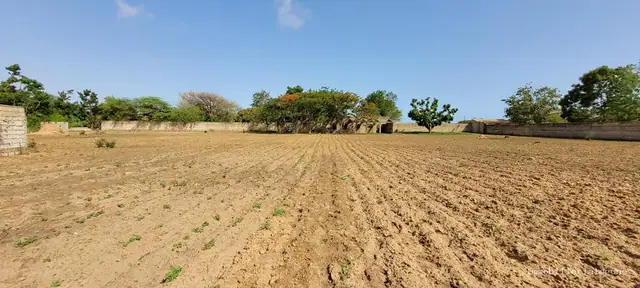 Terrain à Nguerigne — référence T2644