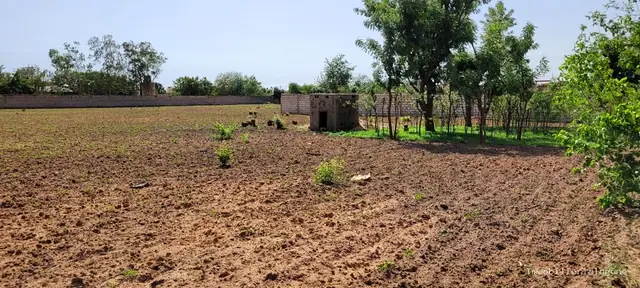 Terrain à Nguerigne — référence T2735