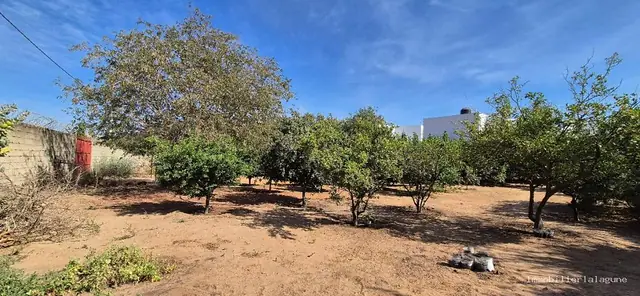Terrain à Ngaparou — référence T3340