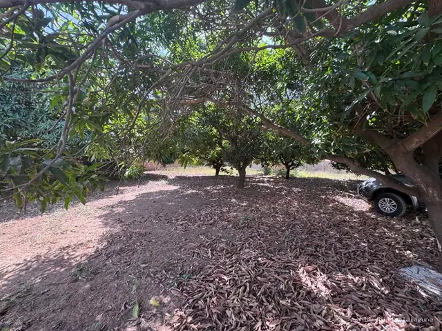 Terrain à Ngaparou — référence T3362