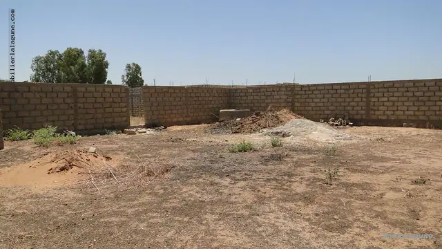 Terrain à Saly — référence T2082