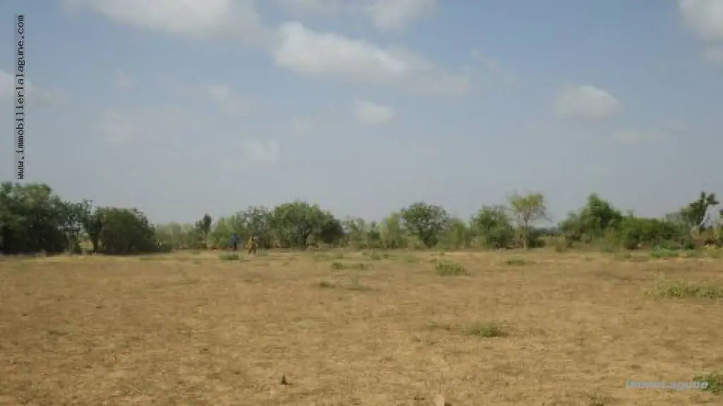 Terrain 13 091 m² à Gandigal — photo 4