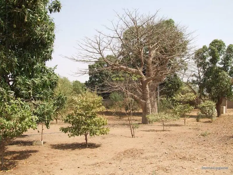 Terrain 10 718 m² à Nguekhokh — photo 2