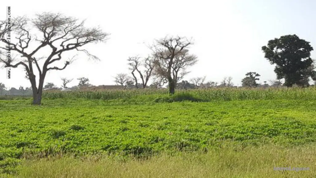 Terrain 40 000 m² à Nguekhokh — photo 2