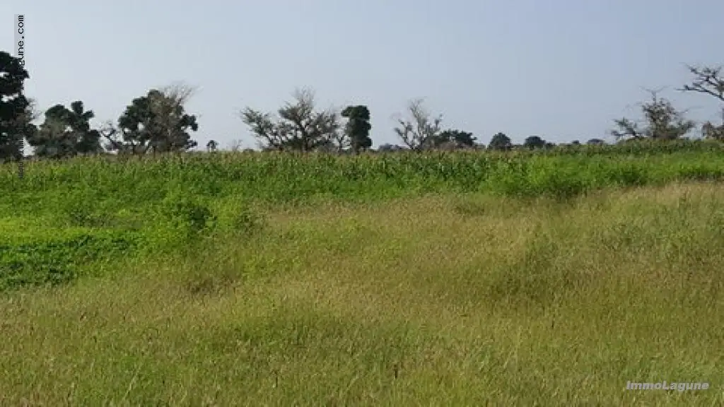 Terrain 40 000 m² à Nguekhokh — photo 4