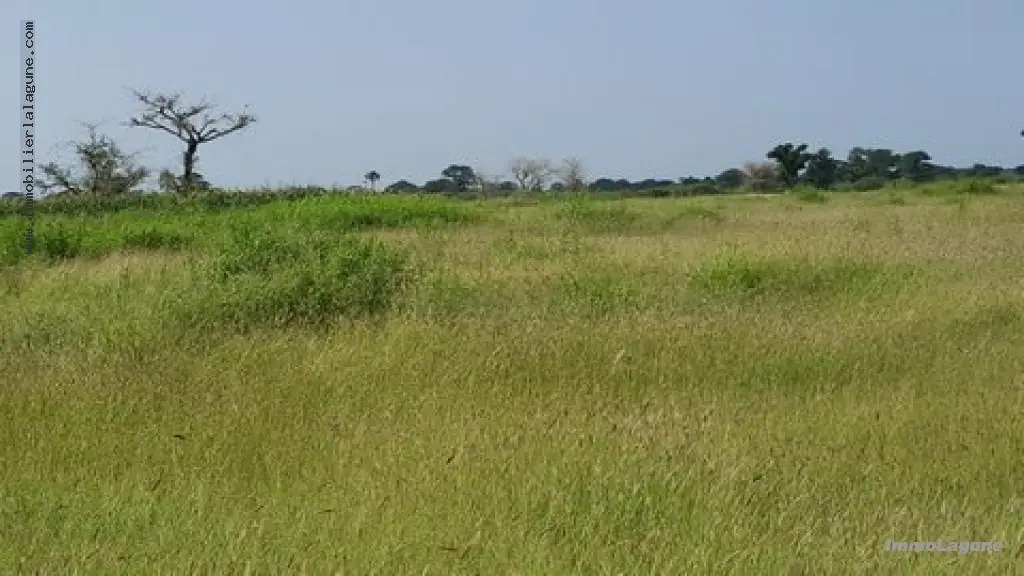 Terrain 40 000 m² à Nguekhokh — photo 5