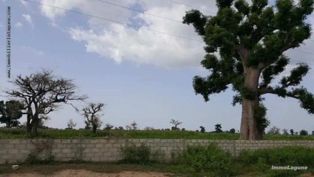 Terrain à Nguekhokh — référence T2332
