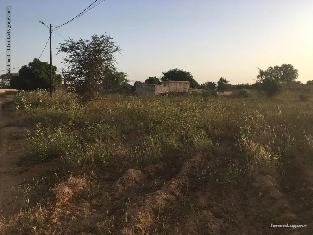 Terrain à N'diorokh — référence T2341
