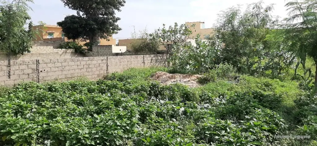 Terrain à Nguekhokh — référence T2539