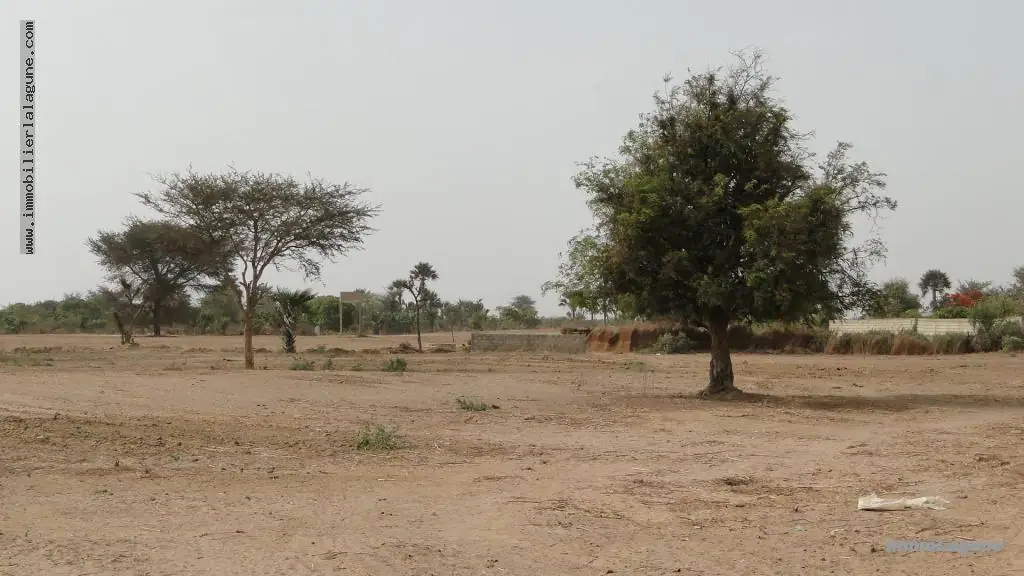 Terrain à Saly — référence T2553