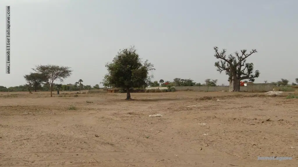Terrain 600 m² à Saly — photo 2