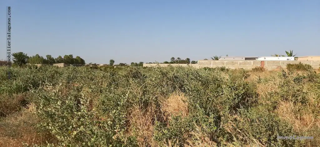 Terrain à N'diorokh — référence T2578