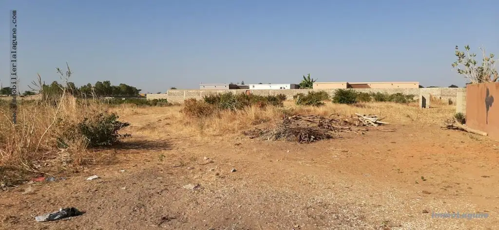 Terrain à N'diorokh — référence T2579