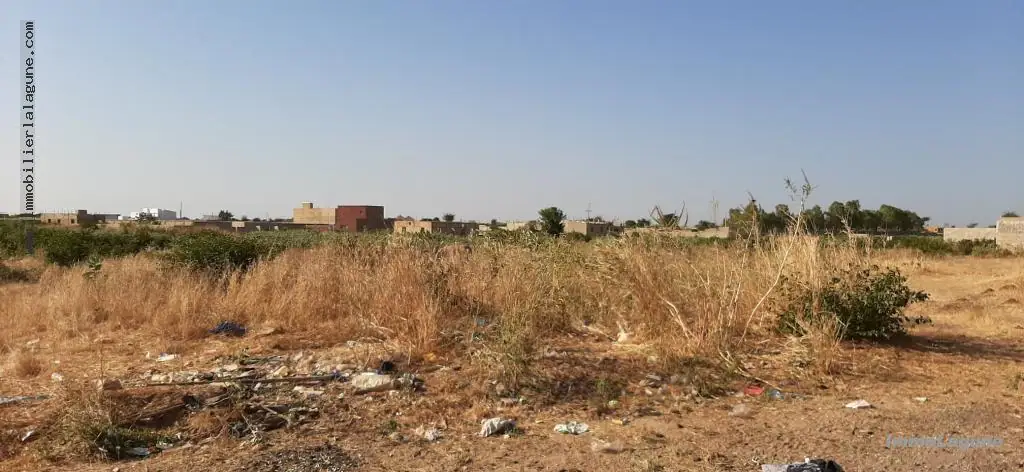 Terrain 1 028 m² à N'diorokh — photo 2