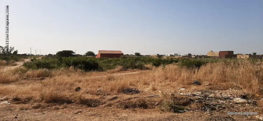 Terrain 1 028 m² à N'diorokh — photo 4